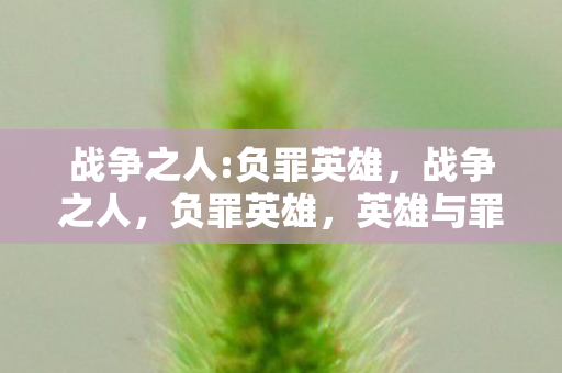 英雄与罪人的交织图片