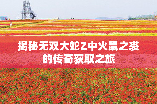 揭秘无双大蛇Z中火鼠之裘的传奇获取之旅图片
