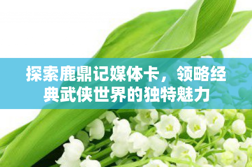探索鹿鼎记媒体卡，领略经典武侠世界的独特魅力
