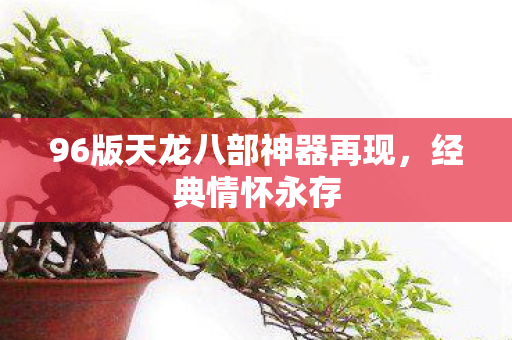 96版天龙八部神器再现图片