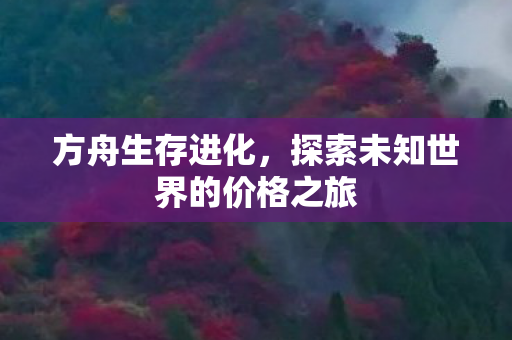 探索未知世界的价格之旅图片