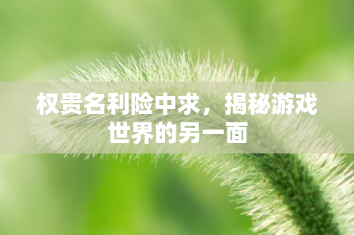 揭秘游戏世界的另一面图片
