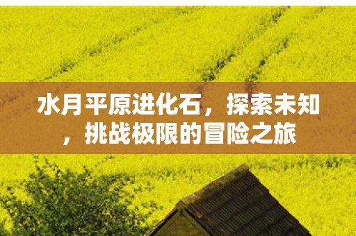挑战极限的冒险之旅图片