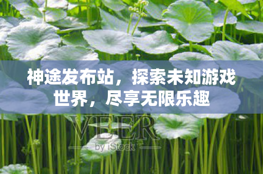 探索未知游戏世界图片