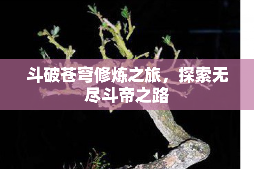斗破苍穹修炼之旅，探索无尽斗帝之路