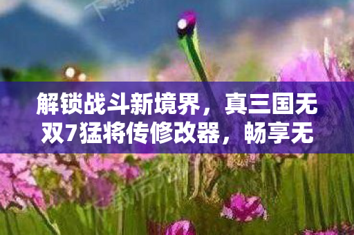 解锁战斗新境界，真三国无双7猛将传修改器，畅享无限战斗可能