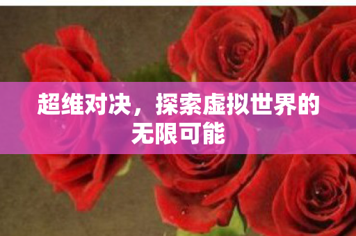 超维对决,探索虚拟世界的无限可能 超维对决,探索虚拟世界的无限可能