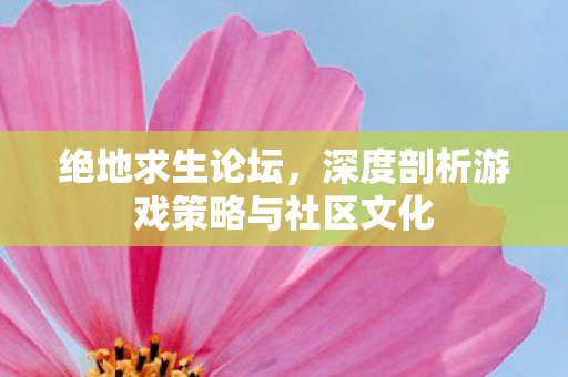 绝地求生论坛,深度剖析游戏策略与社区文化 绝地求生论坛,深度剖析游戏策略与社区文化