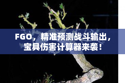 FGO，精准预测战斗输出，宝具伤害计算器来袭！