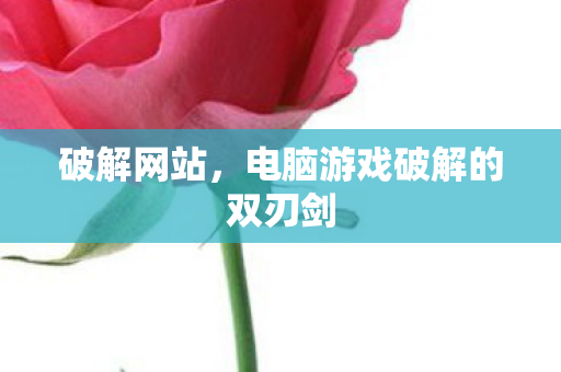 破解网站,电脑游戏破解的双刃剑 破解网站,电脑游戏破解的双刃剑