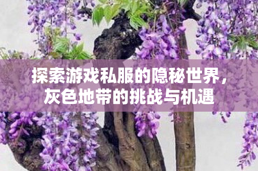 探索游戏私服的隐秘世界,灰色地带的挑战与机遇 探索游戏私服的隐秘世界,灰色地带的挑战与机遇