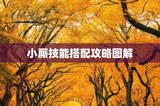 小厮技能搭配攻略图解图片