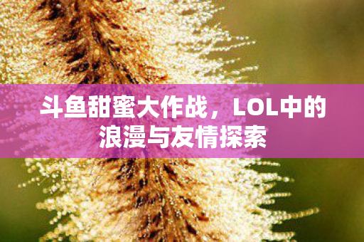 LOL中的浪漫与友情探索图片