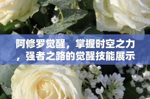 阿修罗觉醒,掌握时空之力,强者之路的觉醒技能展示 阿修罗觉醒,掌握时空之力,强者之路的觉醒技能展示
