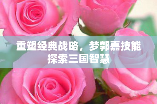 梦郭嘉技能探索三国智慧图片