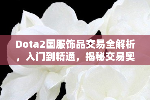Dota2国服饰品交易全解析图片