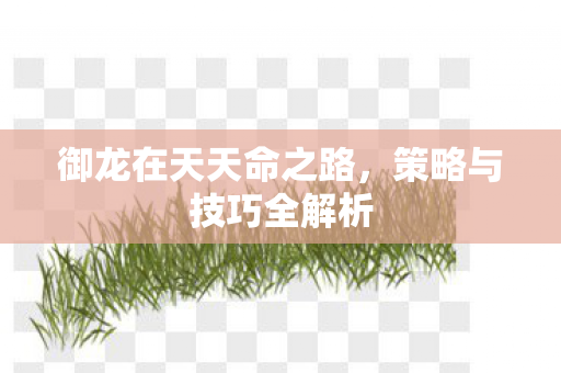 御龙在天天命之路图片