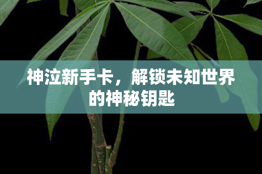 解锁未知世界的神秘钥匙图片