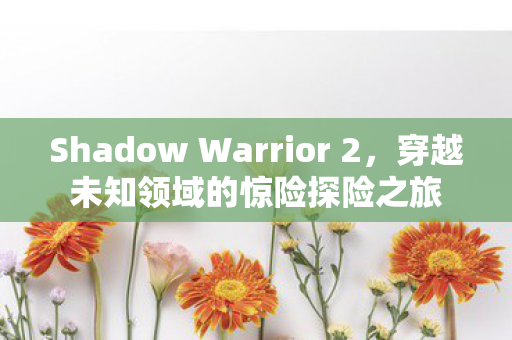 Shadow Warrior 2图片