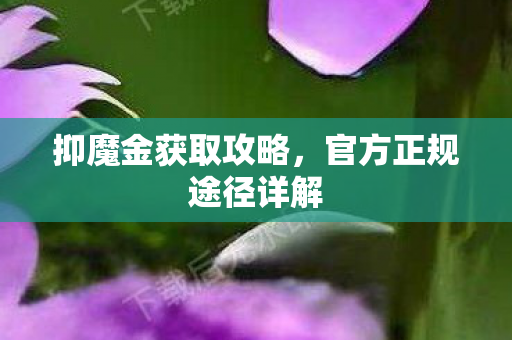 官方正规途径详解图片