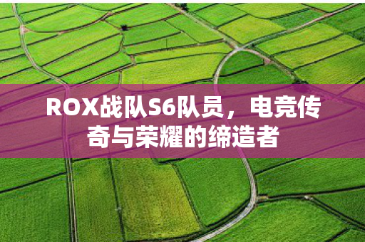电竞传奇与荣耀的缔造者图片