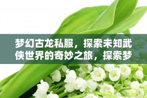梦幻古龙私服,探索未知武侠世界的奇妙之旅,探索梦幻古龙私服,开启未知武侠世界的奇妙旅程 梦幻古龙私服,探索未知武侠世界的奇妙之旅,探索梦幻古龙私服,开启未知武侠世界的奇妙旅程