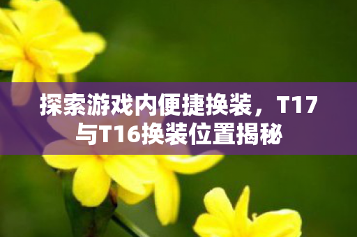 T17与T16换装位置揭秘图片