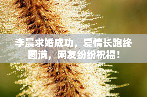 爱情长跑终圆满图片