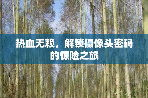 解锁摄像头密码的惊险之旅图片