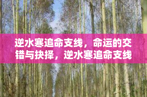 命运的交错与抉择图片