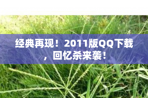 2011版QQ下载图片