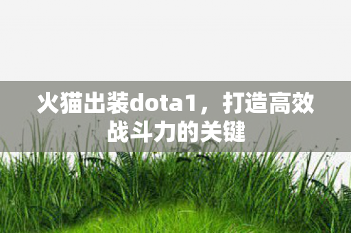 打造高效战斗力的关键图片