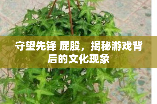 揭秘游戏背后的文化现象图片