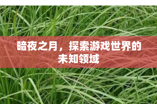 探索游戏世界的未知领域图片