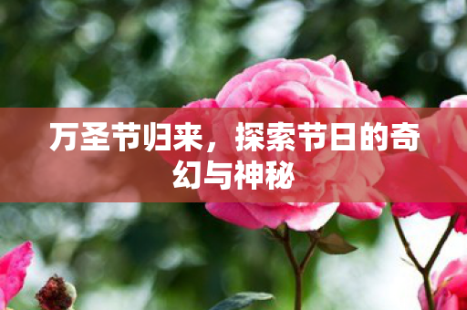 探索节日的奇幻与神秘图片