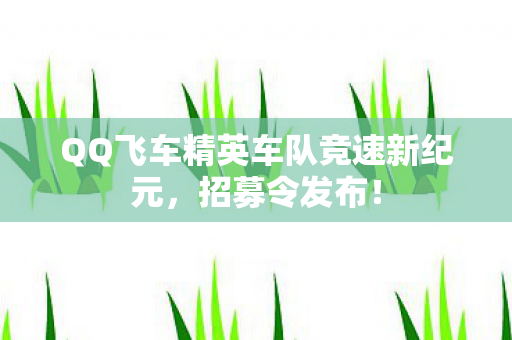 QQ飞车精英车队竞速新纪元图片