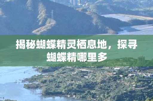 揭秘蝴蝶精灵栖息地图片