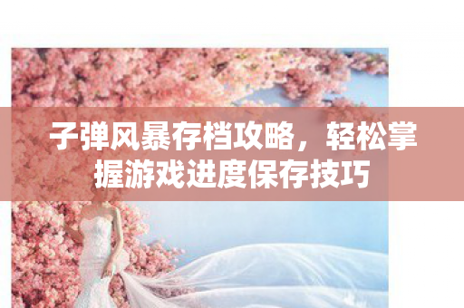 轻松掌握游戏进度保存技巧图片