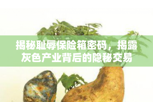 揭露灰色产业背后的隐秘交易图片