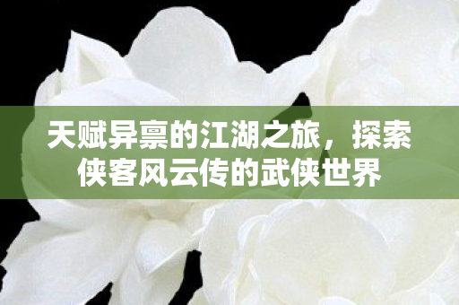 探索侠客风云传的武侠世界图片