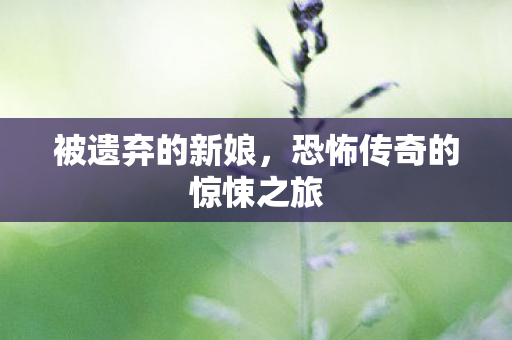 恐怖传奇的惊悚之旅图片