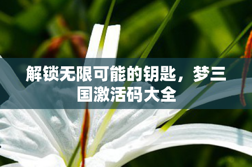 解锁无限可能的钥匙图片
