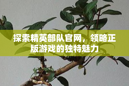 领略正版游戏的独特魅力图片