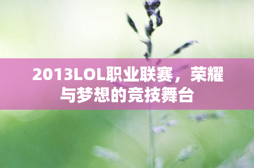 2013LOL职业联赛图片