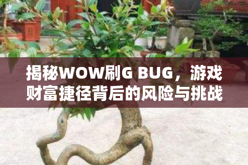 游戏财富捷径背后的风险与挑战图片
