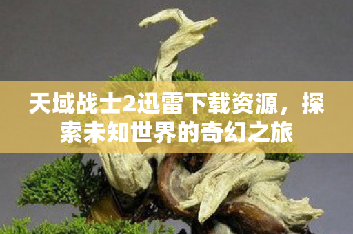天域战士2迅雷下载资源图片
