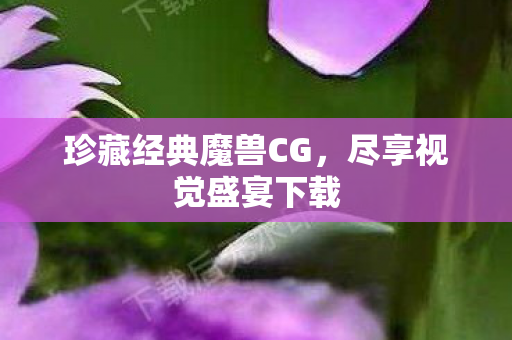 珍藏经典魔兽CG图片