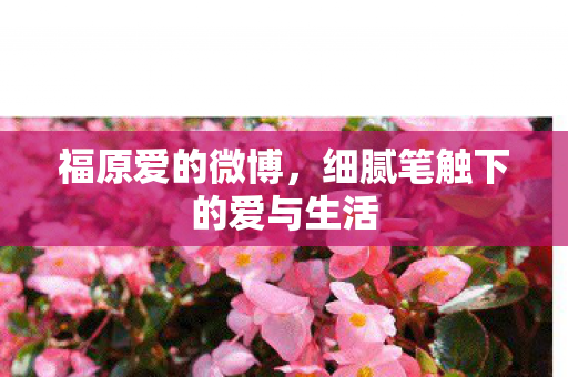 细腻笔触下的爱与生活图片