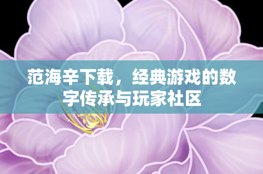 经典游戏的数字传承与玩家社区图片