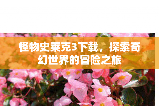 探索奇幻世界的冒险之旅图片
